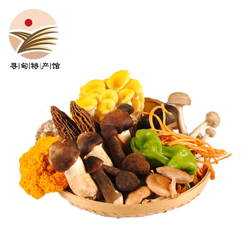 云尚憬(yunshangjing)云南高原新鲜野生菌蘑组合时令蔬菜食用菌搭配