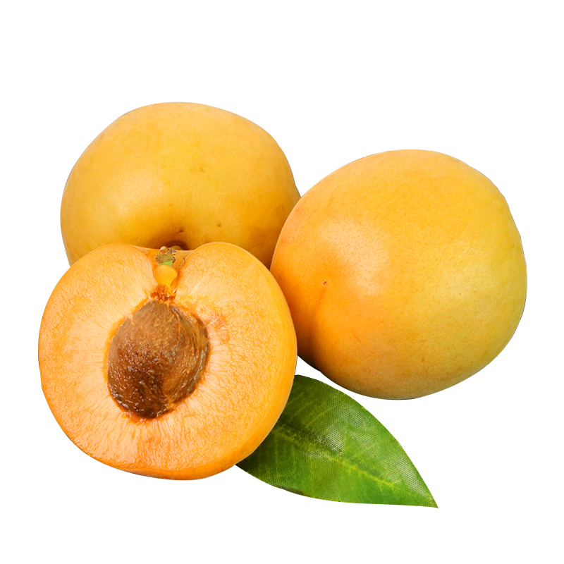 芬果时光 国产新鲜大黄杏子 酸甜大杏子 金太阳大黄杏 新鲜水果 5斤装