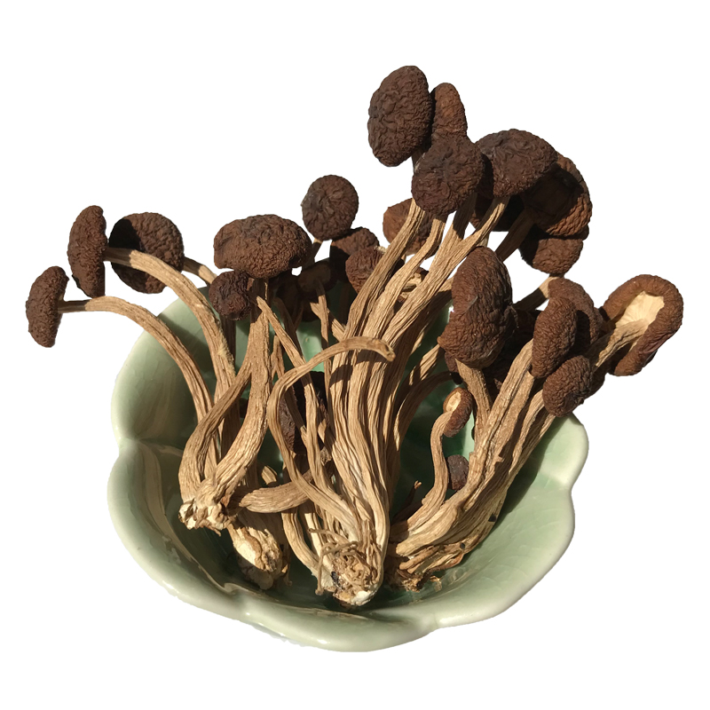 菌研井冈山茶树菇新货不开伞食用茶菇干货短炳茶薪菇江西农家特产菌菇