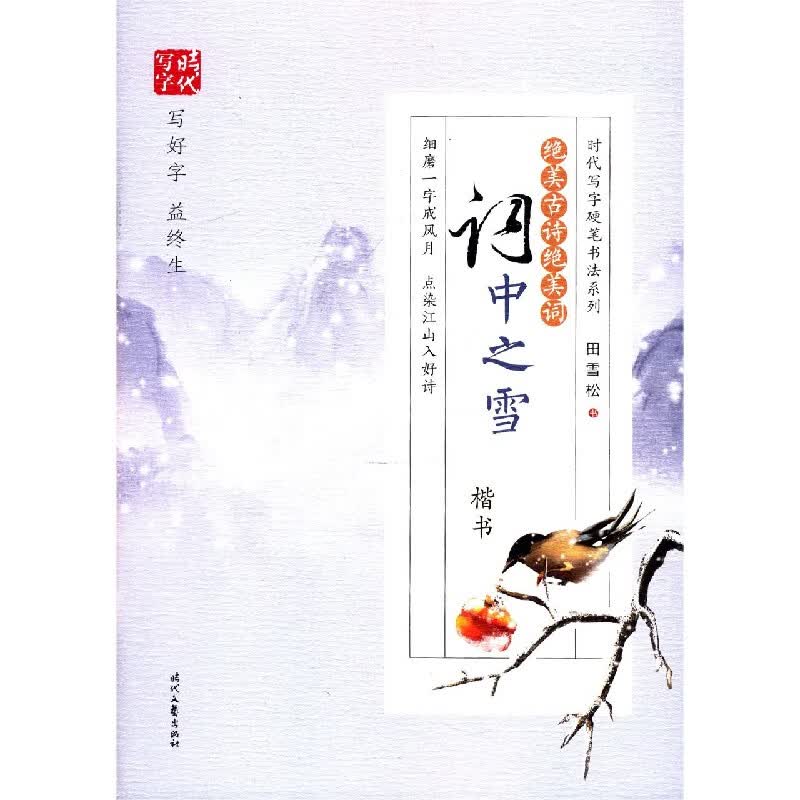 绝美古诗绝美词(词中之雪楷书)/时代写字硬笔书法系列 田雪松