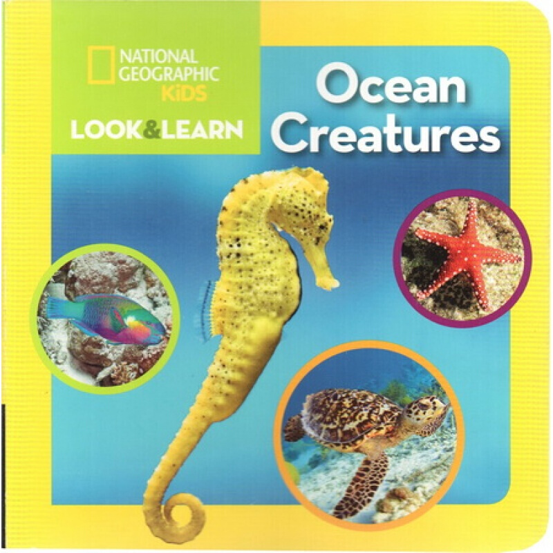 现货 英文原版 national geographic kids 美国国家地理儿童版 纸板书