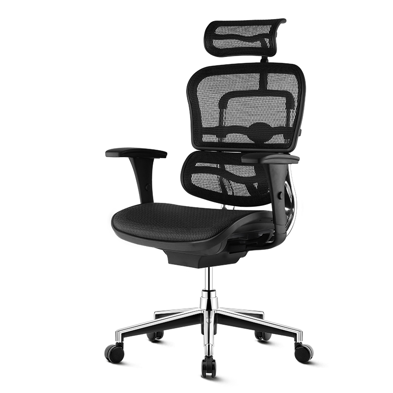 保友金豪b高配版 人体工学椅电脑椅家用办公椅子老板椅 黑色（美国网）