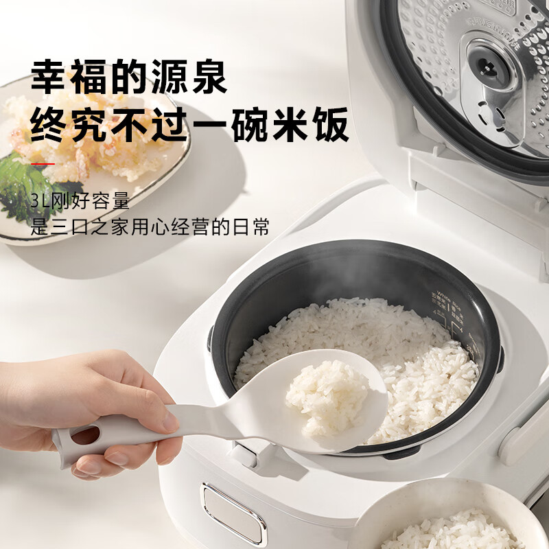 东芝（TOSHIBA）316L不锈钢0涂层发芽米微压鲜饭煲 2L/3L迷你电饭锅 IH立体加热 智能预约煮粥煲煮饭锅  1-2-4人 单内胆丨 3L RC-10HSC