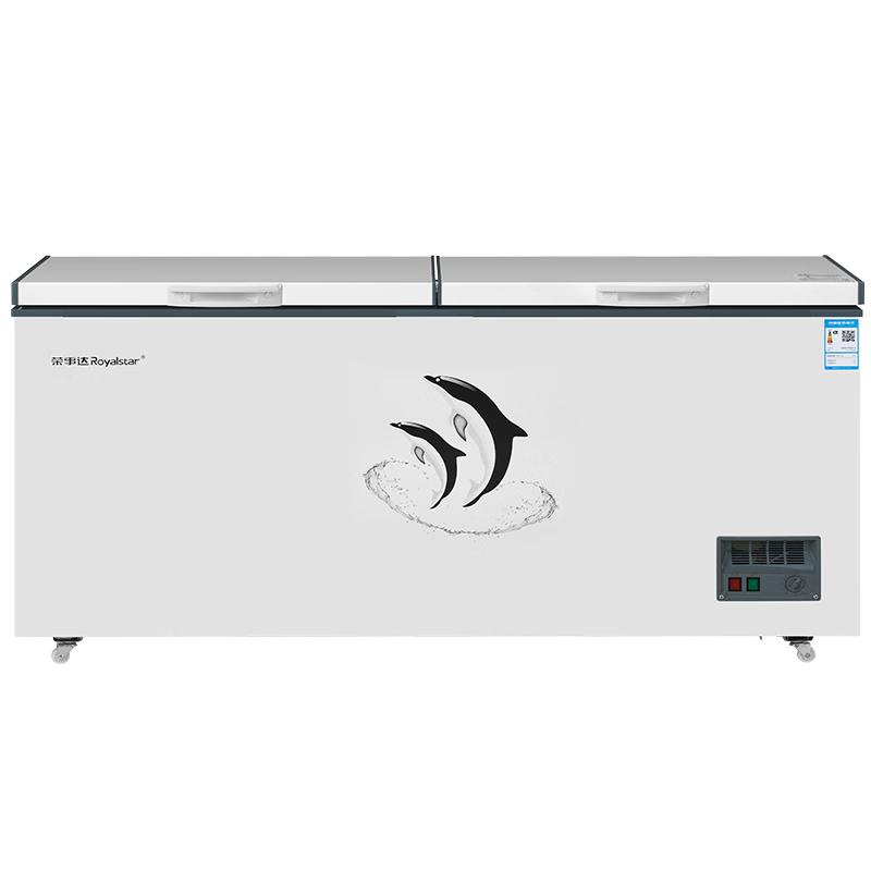 ڲ´Royalstar498ô ʽ±ʱ ȫ䶳 һЧ BD/BC-498D1418Ԫ