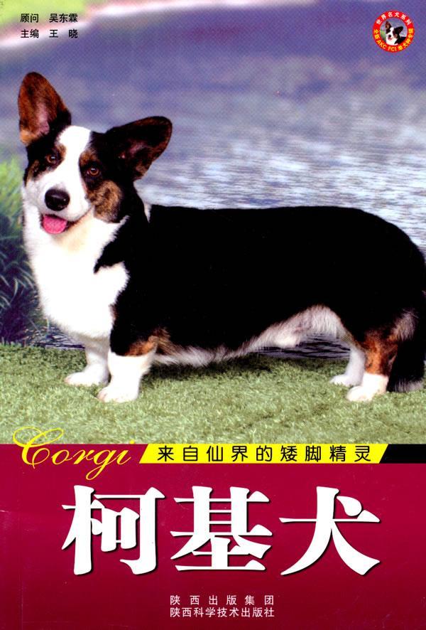 世界名犬-柯基犬王晓家居9787536946774 犬驯养