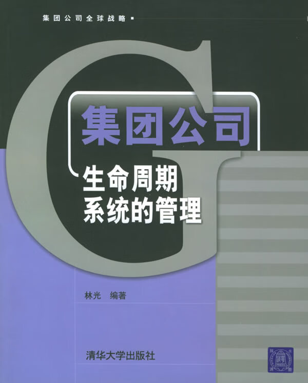 集团公司生命周期系统的管理 林光 编著【正版】