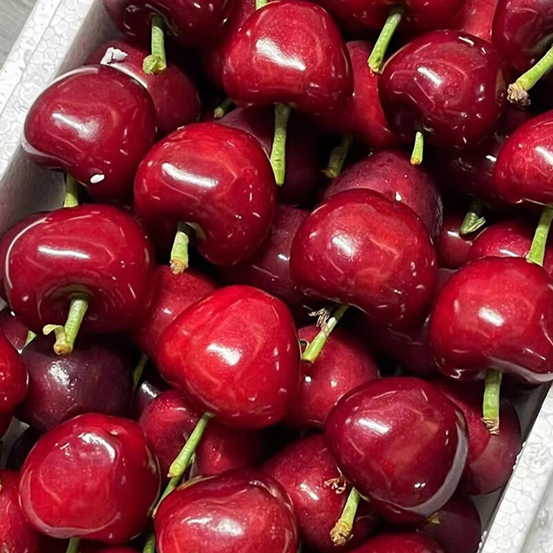 京农超【头茬预定】山东大樱桃 新鲜水果国产车厘子 时令生鲜水果端午节 4斤(净重) 甄选果 单果25-28mm