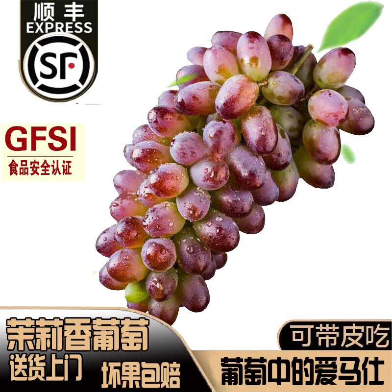 舅甜果蔬茉莉香葡萄(现摘-顺丰)新鲜无籽郁金香水果玫瑰百果春香提子