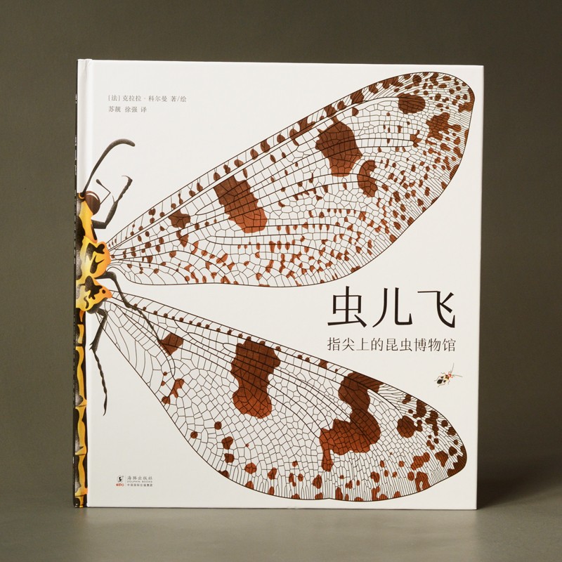 虫儿飞指尖上的昆虫博物馆（奇想国童书）亲密接触11大目、200余种稀奇古怪的虫虫，告别昆虫恐惧。暑假阅读暑假课外书课外暑假自主阅读暑期假期读物
