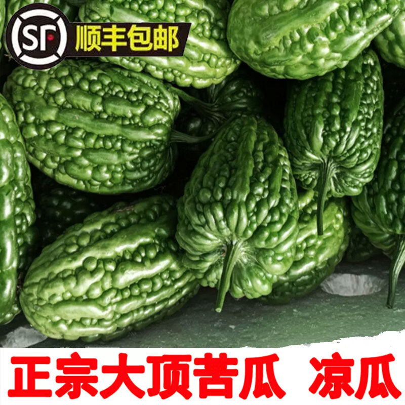 大顶苦瓜正宗杜阮凉瓜大顶苦瓜松脆无渣圆形雷公凿粤菜褒汤发顺丰 1kg