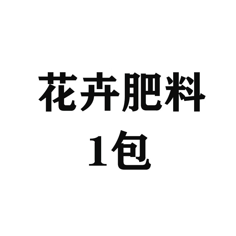 花无痕 花叶络石彩叶吊兰垂吊爬藤植物阳台庭院绿植花卉耐寒净化空气