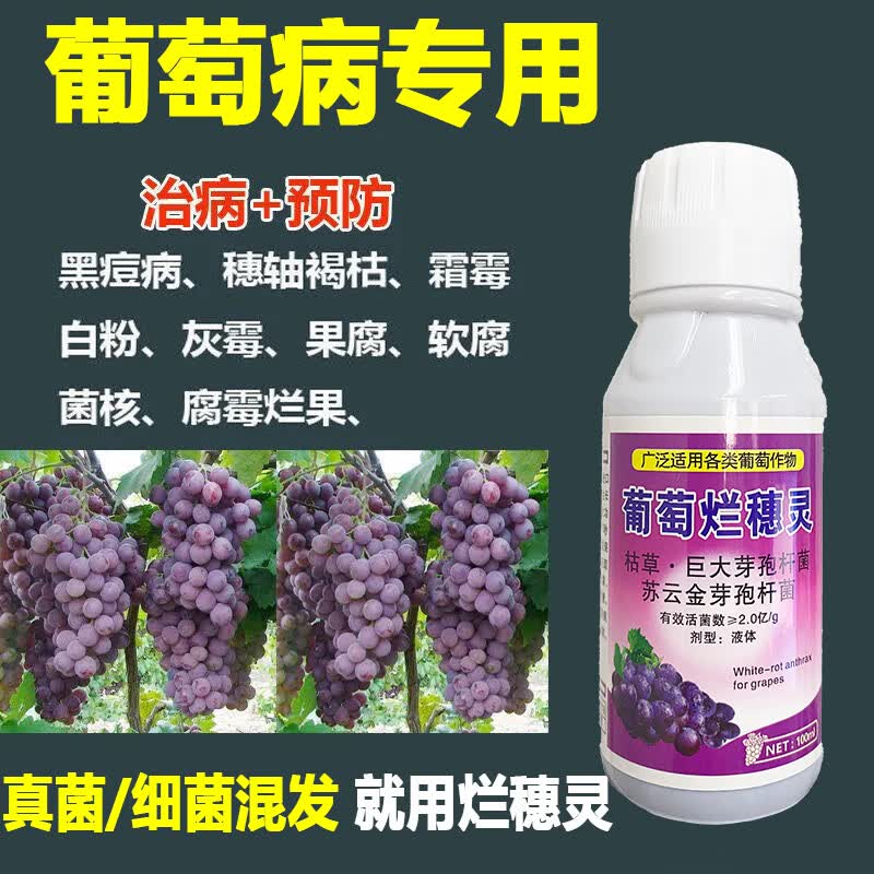 葡萄专用药葡萄烂穗灵炭疽病灰霉病白粉病全治葡萄专用农药杀菌剂 100ml（100毫升/1瓶)怎么样,好用不?