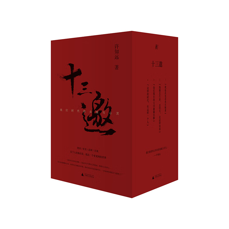 十三邀：我们时代的头脑与心灵 （全四辑）