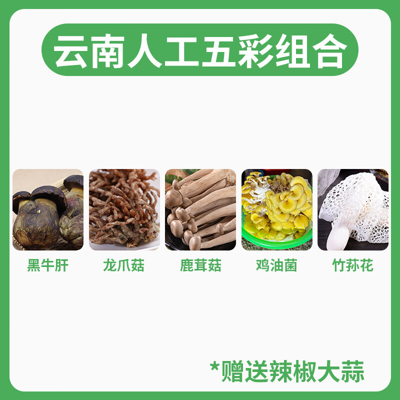 云南菌组合新鲜菌菇蘑菇见手青鸡枞牛肝菌羊肚菌火锅煲汤食材 云南