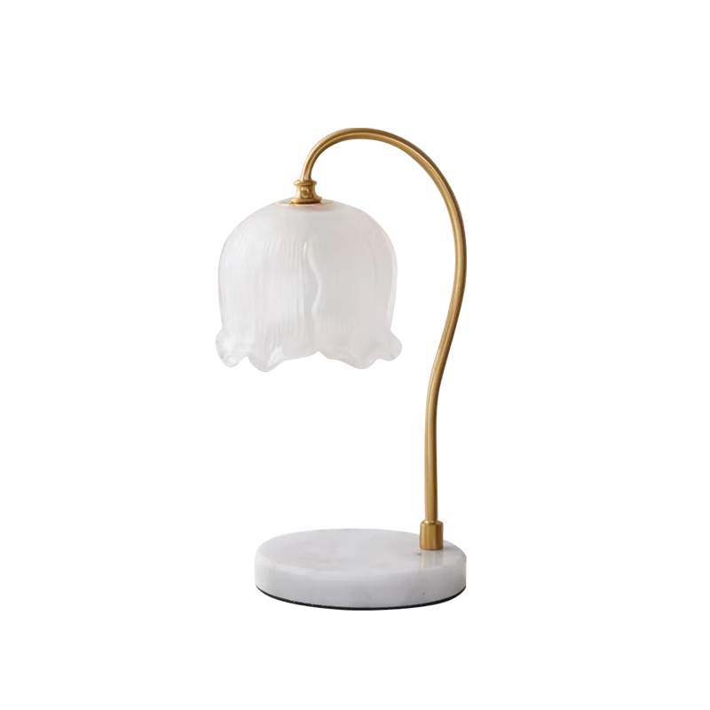 Jupiter & Venus ��������޹�� �޻�ɢ�������� �������� ������� 209.9Ԫ