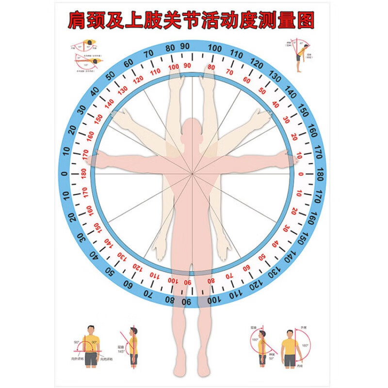 肩关节活动度测量图 肩颈上肢关节活动度检测图墙纸医院诊所关节活动