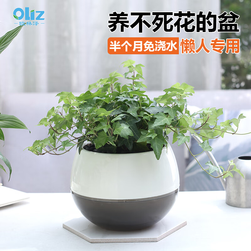 欧林泽自动吸水花盆室内阳台绿植盆栽花盆桌面水培土培储水懒人花盆塑料 1个I03花盆(小号)-九块九专栏-全利兔-实时优惠快报
