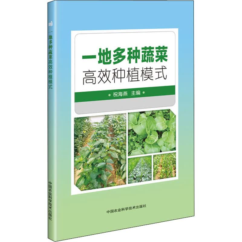 一地多种蔬菜高效种植模式 祝海燕 编 书籍