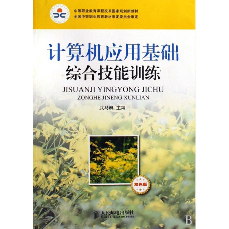 计算机应用基础综合技能训练(双色印刷) 武马群 作 书籍