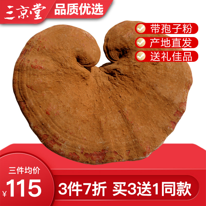 三京堂 深山赤灵芝整枝 长白山林芝切片泡茶 500g【带灵芝孢子粉】 赤