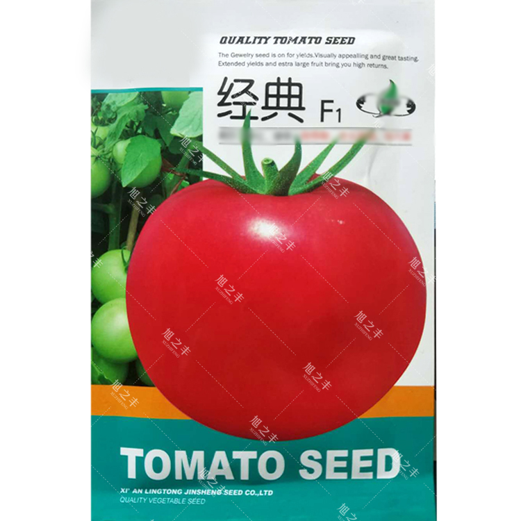 经典西红柿种子 粉红硬果大果番茄种籽春季夏季庭院蔬菜种孑 经典f1
