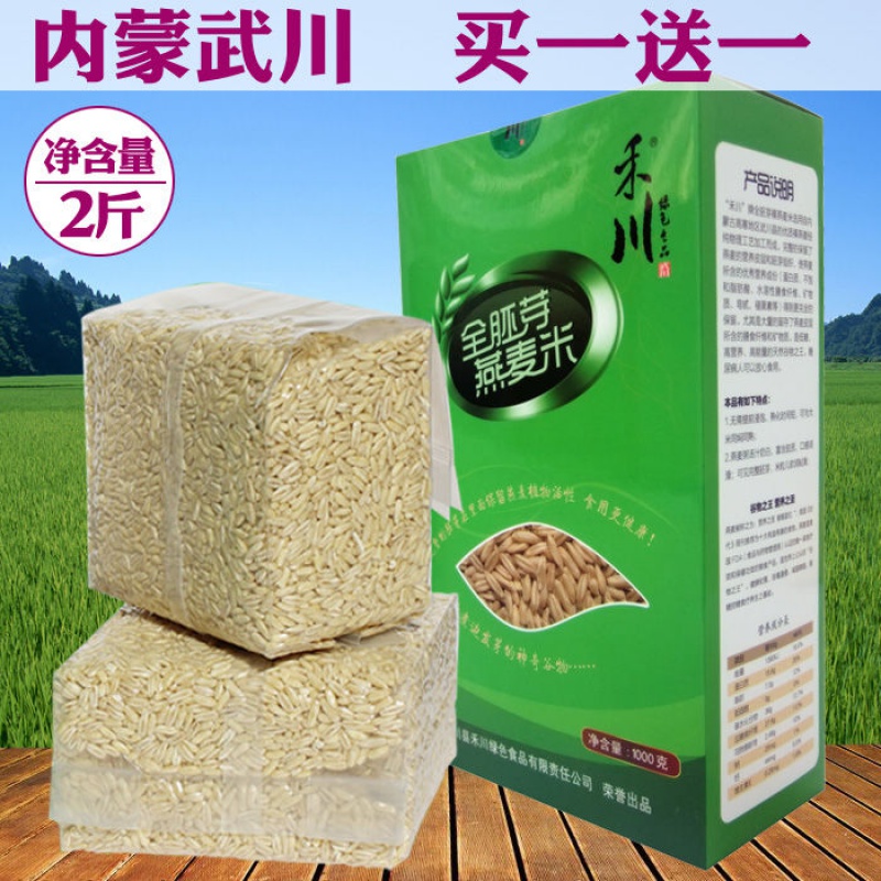 内蒙古武川胚芽裸燕麦米1000g 五谷杂粮破壁粗粮发芽燕麦米仁粟粒