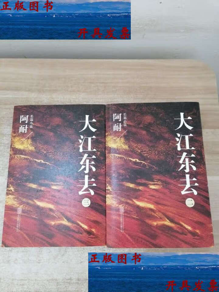 【二手9成新】大江东去:2.3册 /阿耐 北京联合公司