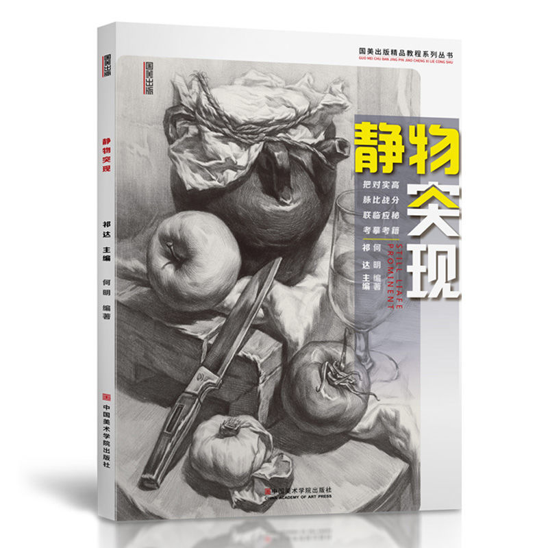 静物突现素描组合水果单体组合结构临摹范本美术书联考教程学材