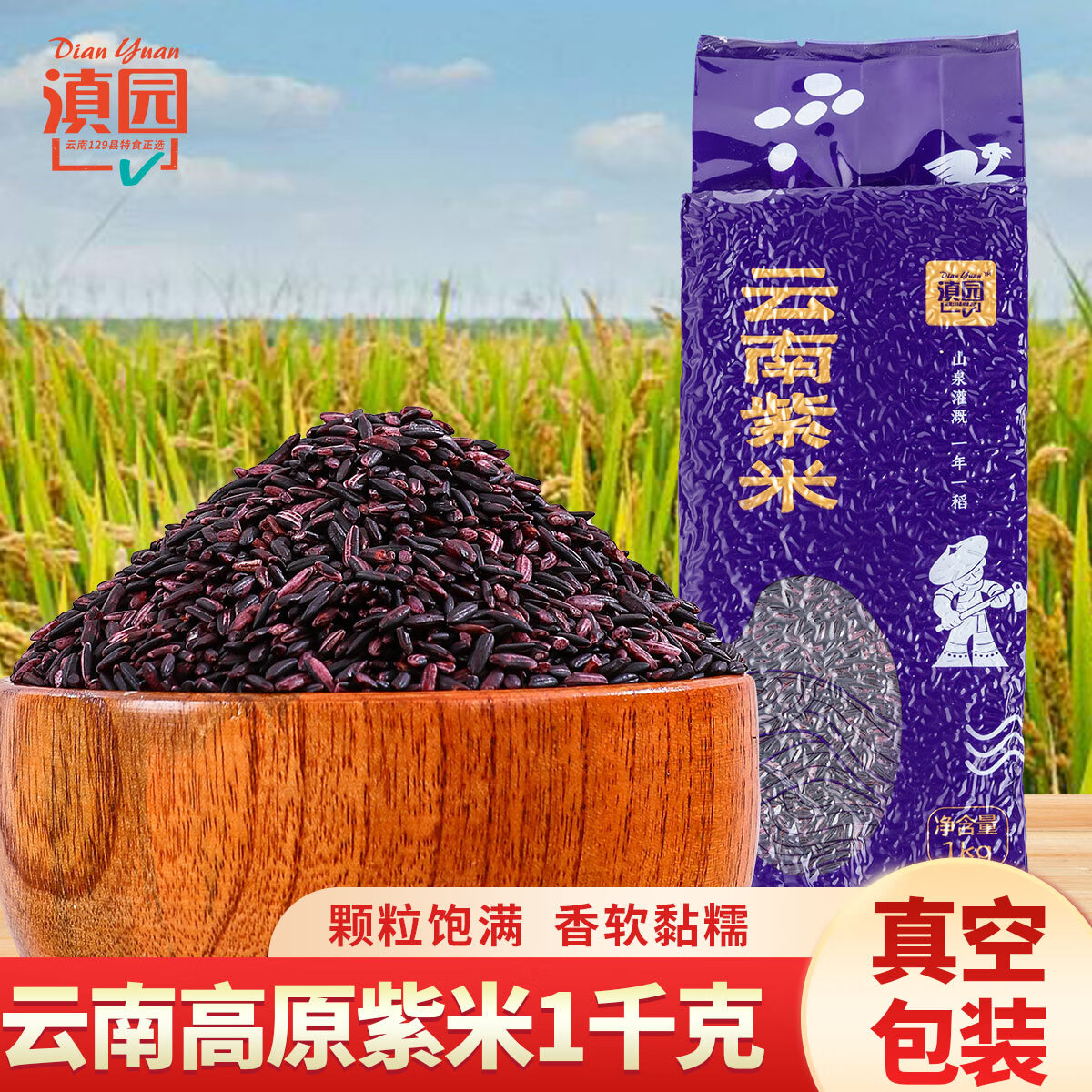 滇园 云南紫米1000g 云南普洱墨江特产五谷粗粮杂粮血糯米酸奶紫米露