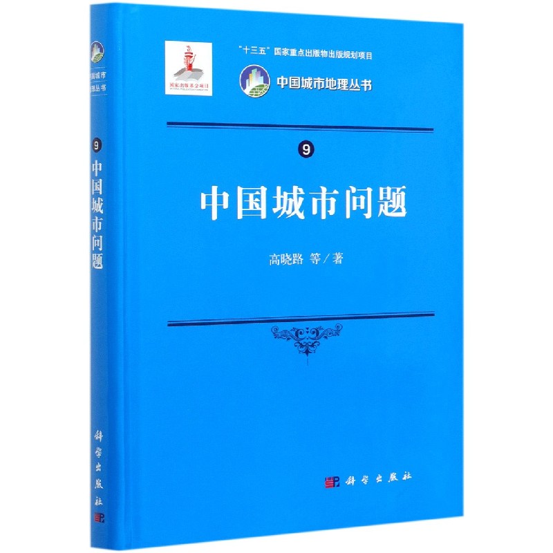 中国城市问题