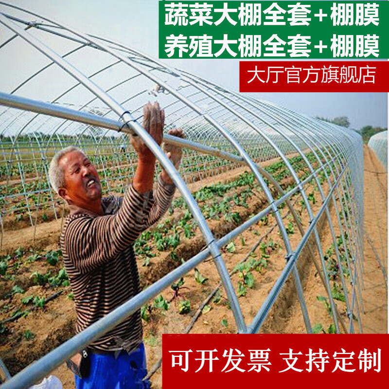 大廳 625/825型溫室大棚骨架蔬菜大棚鋼管農(nóng)業(yè)鋼架大棚配件養(yǎng)雞鴨大棚 6米寬10米長(zhǎng)標(biāo)配版/含膜