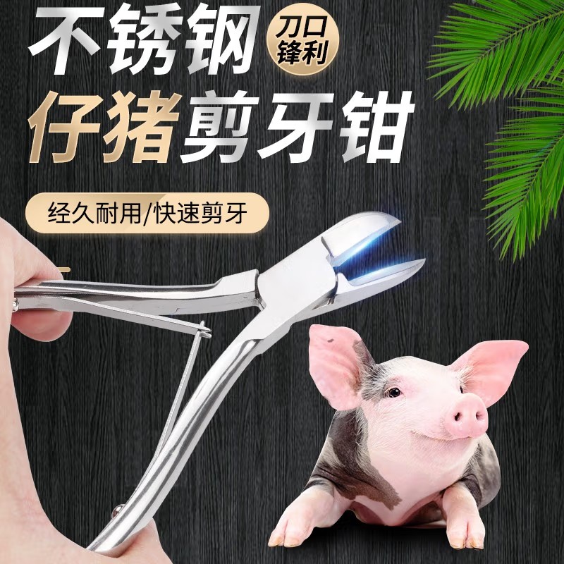 耐尔尼仔猪剪牙钳猪用猪牙钳不锈钢兽用剪牙钳小猪剪牙钳 不锈钢12cm