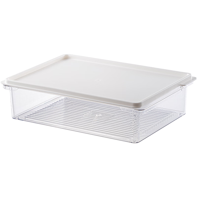 TAILI 太力 冰箱收纳盒 冷冻盒分装盒保鲜盒食品级 冷冻室冻肉分格(1.1L*2)