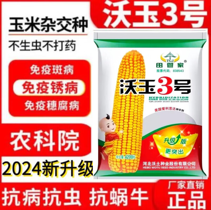 新种高产玉米种子大全沃玉3号登海605东单1331抗病大棒双胞胎国审 沃玉3号 一亩地 约4200粒 原装质量放心高产