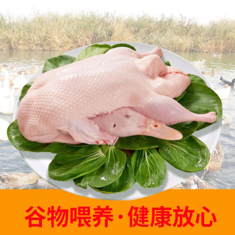 农村散养土鸭新鲜鸭子老鸭整只麻鸭鸭肉水鸭生鲜肉类