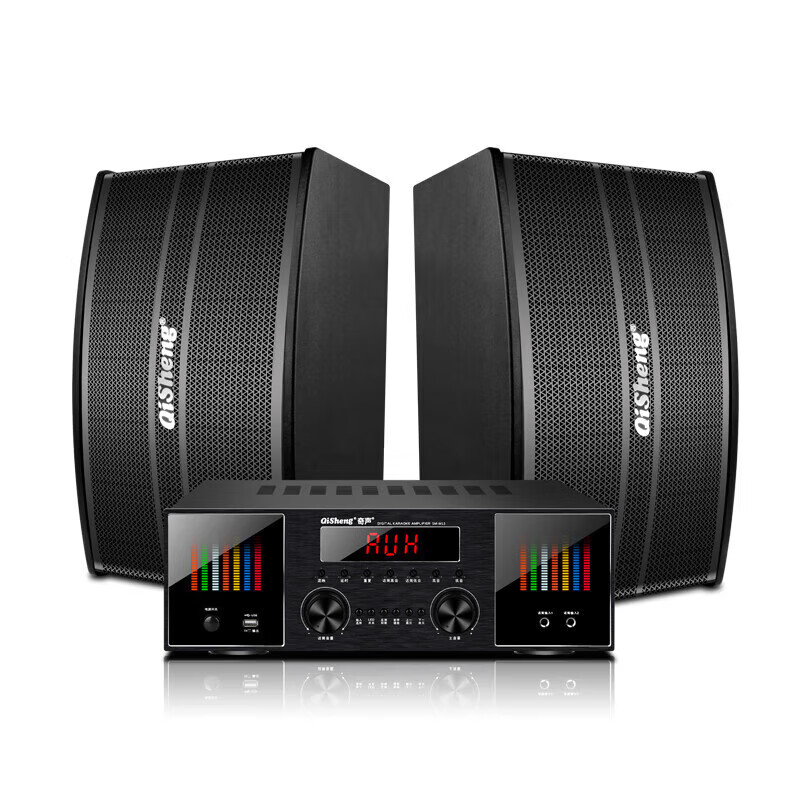 奇声10吋家庭ktv音响套装卡拉ok功放一体机家用家庭影院k歌会议室设备