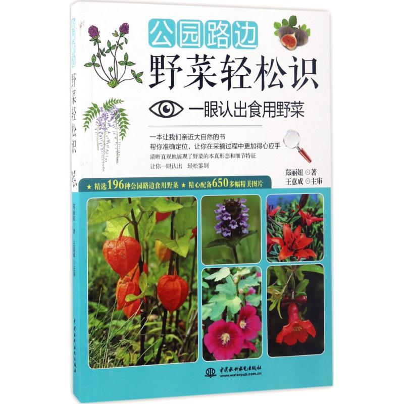 公园路边野菜轻松识