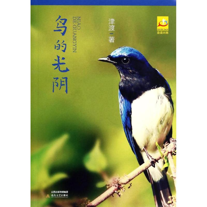 鸟的光阴