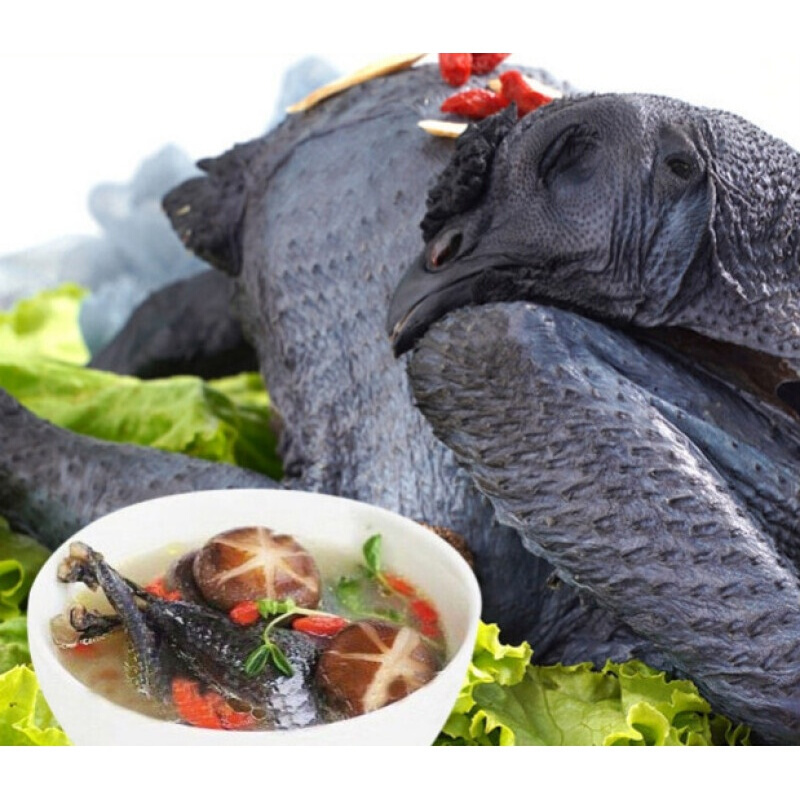 伯贤 新鲜现杀乌骨鸡 农家土鸡笨鸡 白羽乌凤鸡 乌鸡走地鸡 1只1000g