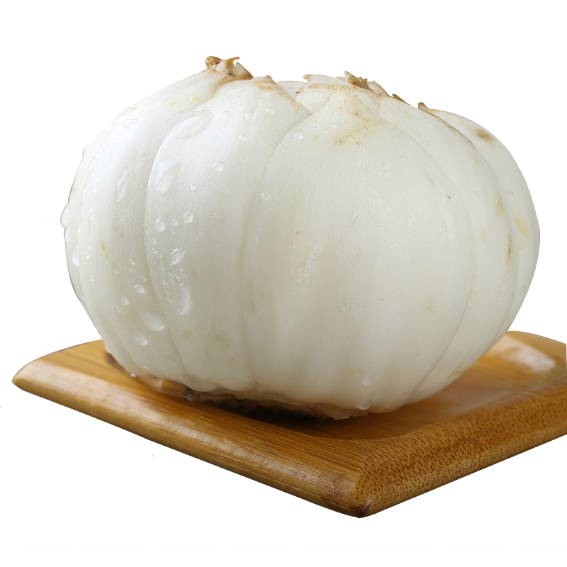 新鲜甜百合 兰州特产  新鲜蔬菜 2斤中果约18个