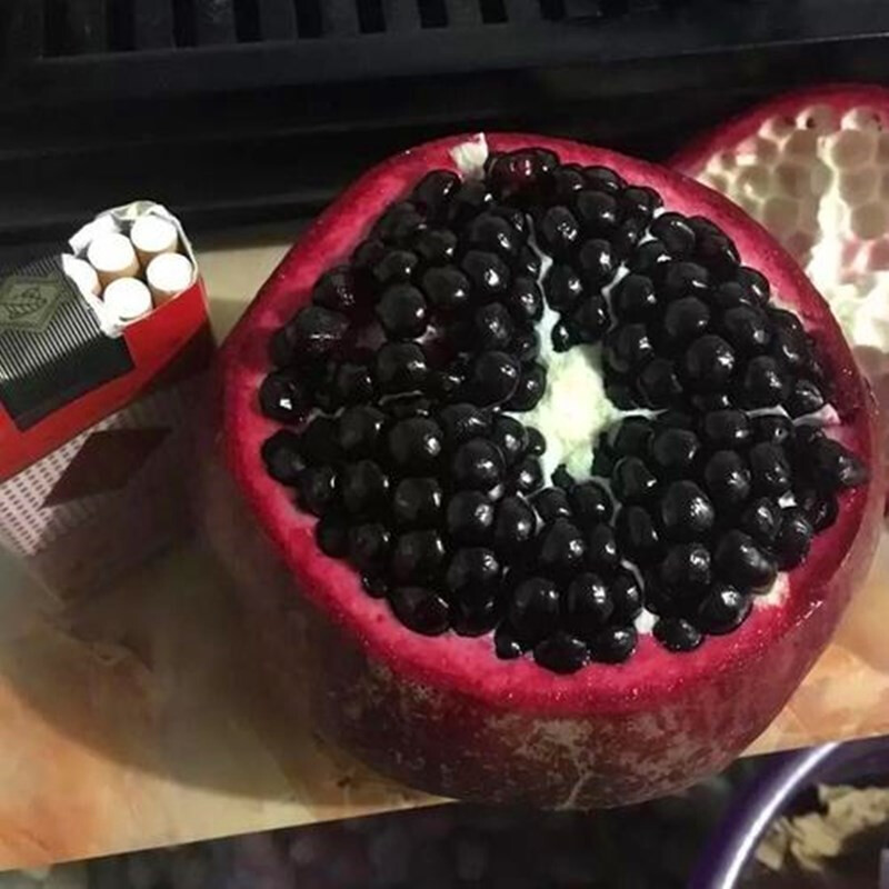 虞润 黑籽石榴苗新品种软籽石榴树苗果树苗南方北方种植庭院阳台盆栽