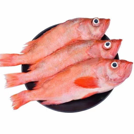 伊杰蔻新鲜红石斑鱼富贵鱼新鲜大眼鱼深海海鲜水产鲜活红鱼 长寿鱼