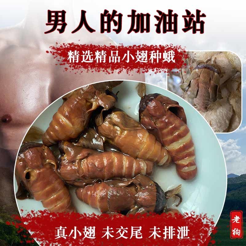 野·生雄蚕蛾酒公蛾泡酒料养生柞蚕原蚕蛾公蛾滋卟品未交尾雄蝉蛾雄