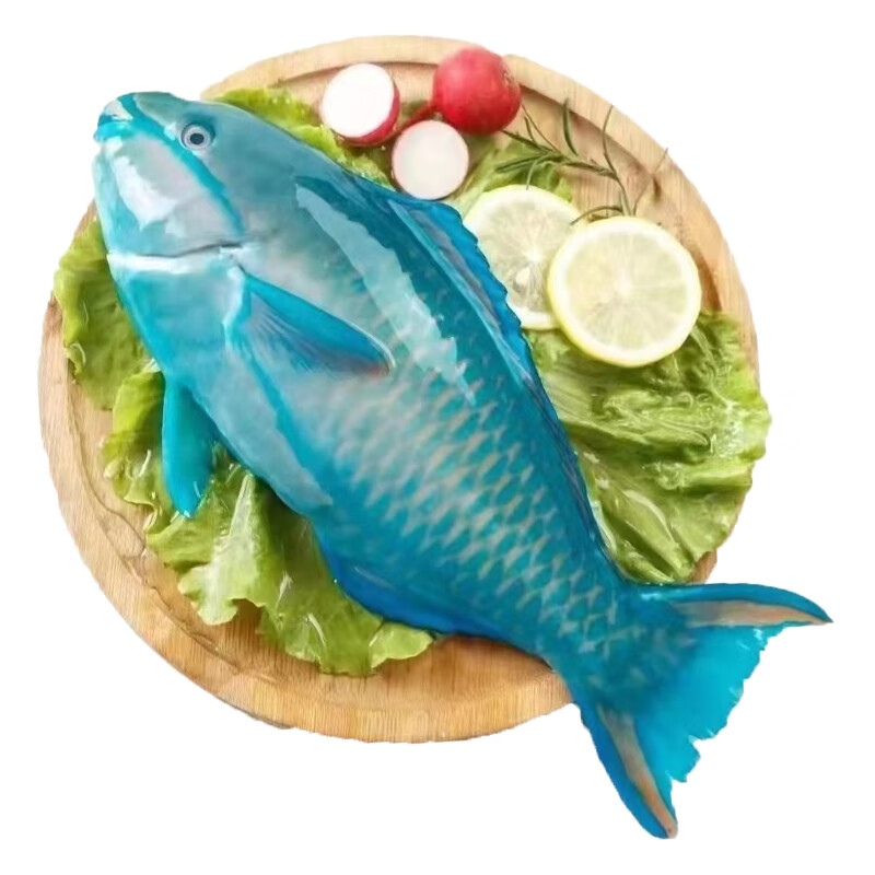 鲜太公海南西沙群岛青衣鱼 深海鱼 鹦鹉鱼 新鲜海鲜水产 顺丰航空 1.