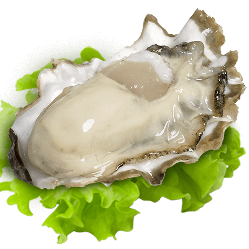 北京同城发闪送 鲜活生蚝 牡蛎海蛎子 烧烤 海鲜水产  生蚝10只(190g