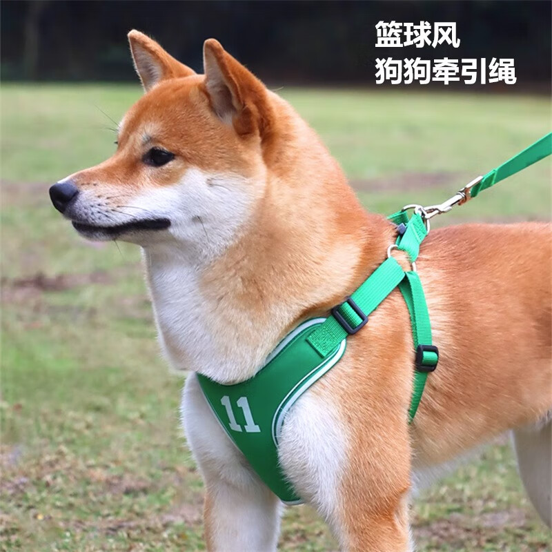 篮球运动风柴犬泰迪遛狗绳狗胸背带 绿色 m(胸围52-64cm)建议15-28斤