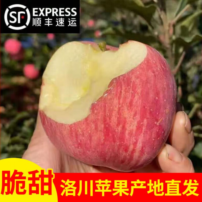 独爱（DUAR）【苹心而论】陕西延安洛川富士苹果脆甜一级当季时令苹果送礼 8.8斤 70mm-75mm 中果 约26个