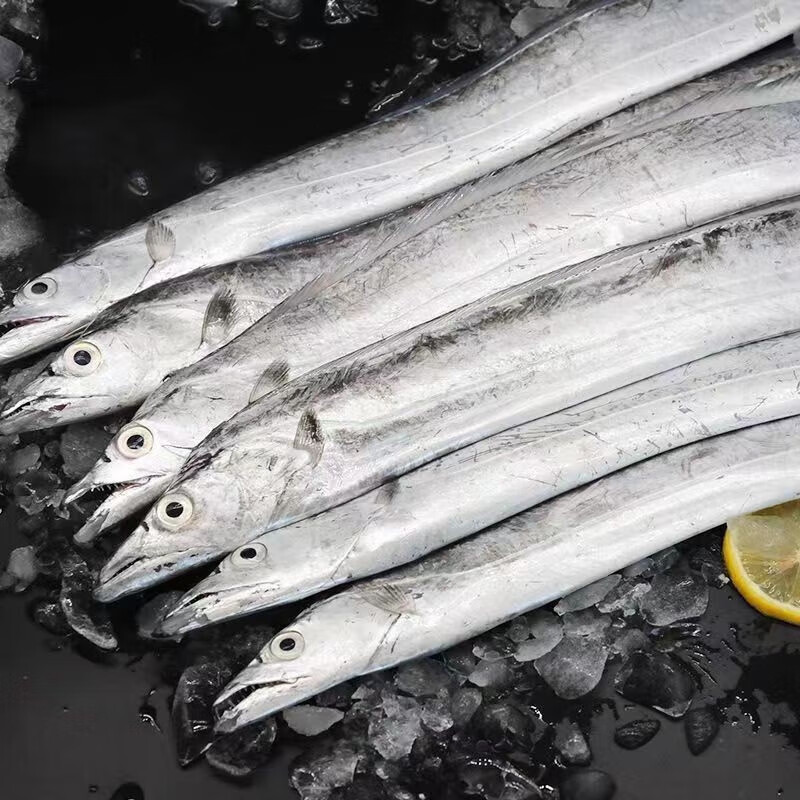 沃喜乐 精品钓带鱼 东海带鱼  特级大钓带鱼刀鱼整箱大号整条 生鲜