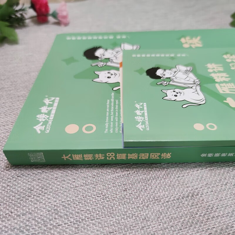 2024考研英语一二刘晓艳大雁教你语法长难句+大雁精讲58篇基础阅读+大雁带你写高分写作