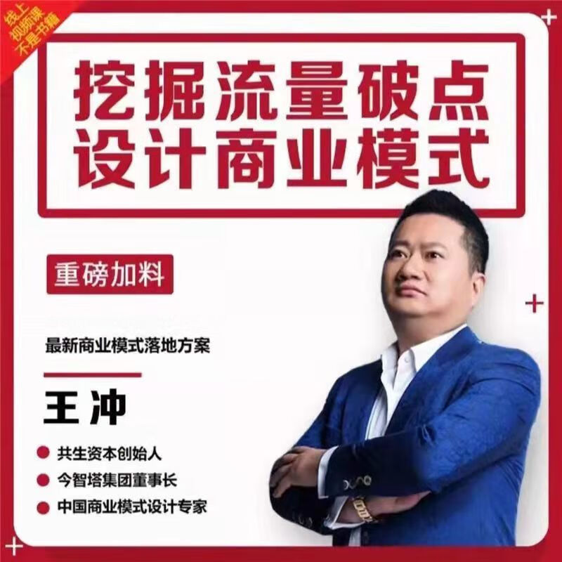 王冲盈利模式27种方法营销商业王道199冲出重围突破流量困局全集 王冲